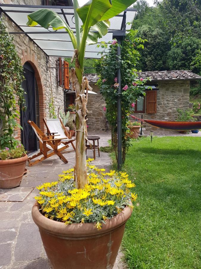 La Casa Nel Chianti Apartman Greve in Chianti Kültér fotó