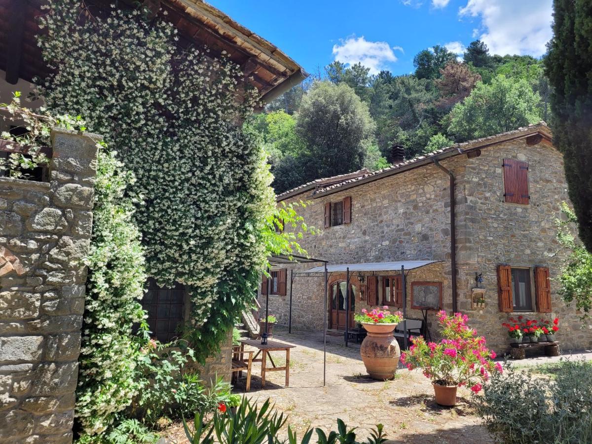 La Casa Nel Chianti Apartman Greve in Chianti Kültér fotó