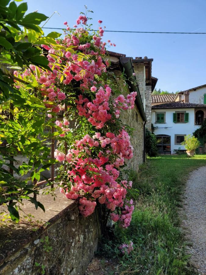 La Casa Nel Chianti Apartman Greve in Chianti Kültér fotó
